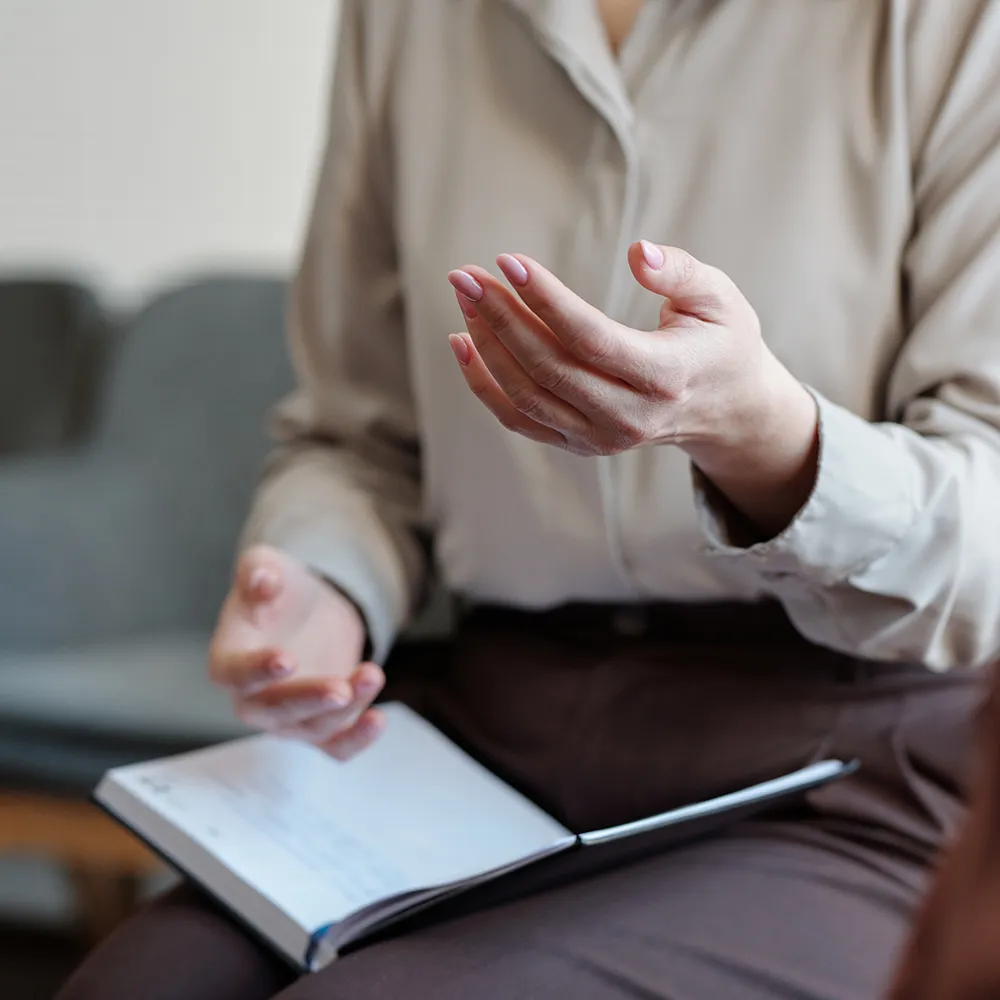 Yetişkin Danışmanlığı